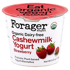 Forager Project Organic Dairy-Free Strawberry Cashewmilk Yogurt Alternative, 5.3 oz