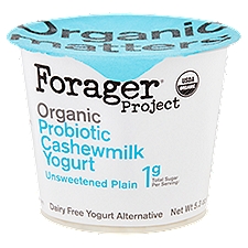 Forager Project Organic Unsweetened Plain Probiotic Cashewmilk Dairy Free , Yogurt Alternative, 5.3 Ounce