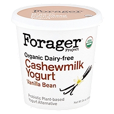 Forager Project Organic Dairy-Free Vanilla Bean Cashewmilk, Yogurt, 24 Ounce