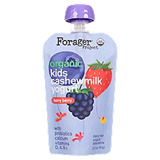 Forager Project Organic Berry Berry Kids Cashewmilk Dairy Free Yogurt Alternative, 3.2 oz