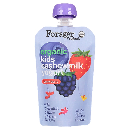 Forager Project Organic Berry Berry Kids Cashewmilk Dairy Free Yogurt Alternative, 3.2 oz
Live active cultures: S. Thermophilus, L. Bulgaricus, L. Acidophilus, Bifidus, L Lactis, L. Plantarum.