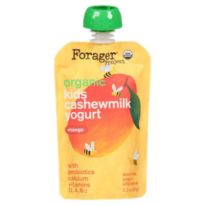 Forager Project Organic Mango Kids Cashewmilk Dairy Free Yogurt Alternative, 3.2 oz