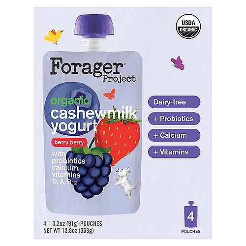 Forager Project Organic Berry Berry Cashewmilk Yogurt, 3.2 oz, 4 count