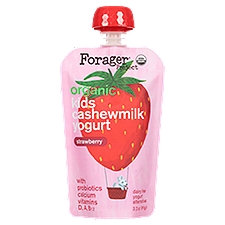 Forager Project Organic Strawberry Kids Cashewmilk Dairy Free Yogurt Alternative, 3.2 oz