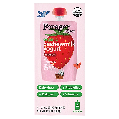 Forager Project Organic Strawberry Cashewmilk Yogurt, 3.2 oz, 4 count
Dairy Free Yogurt Alternative

Live active cultures: S. Thermophilus, L. Bulgaricus, L. Acidophilus, Bifidus, L. Lactis, L. Plantarum.