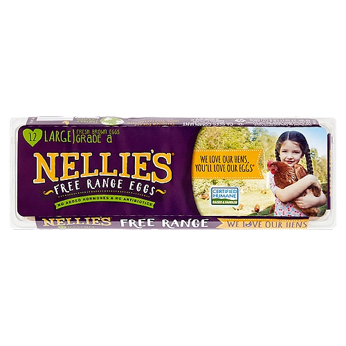 Nellie's Large Free Range Eggs, 12 count, 24 oz
