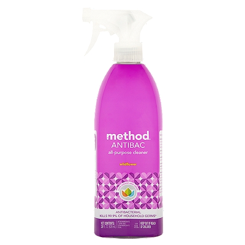 Antibacterial all purpose cleaner and disinfectant spray. Kills 99.9% of household germs including influenza a flu virus, staphylococcus aureus, rhinovirus and salmonella enterica.
