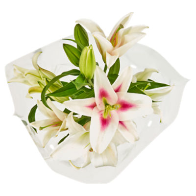 Oriental Lily Bunch