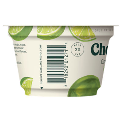 Can Dogs Eat Key Lime Yogurt