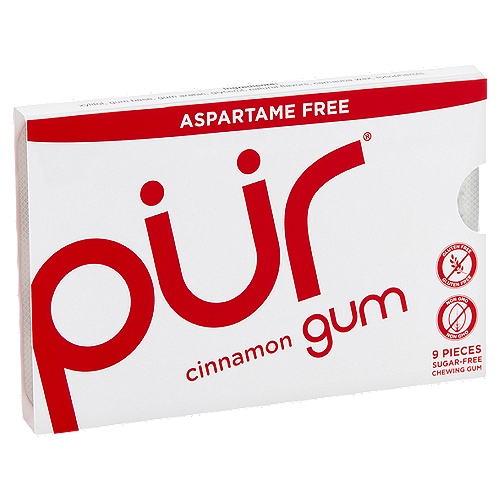 Pür Cinnamon Sugar-Free Chewing Gum, 9 count