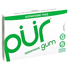 Pur Spearmint Sugar-Free, Chewing Gum, 9 Each