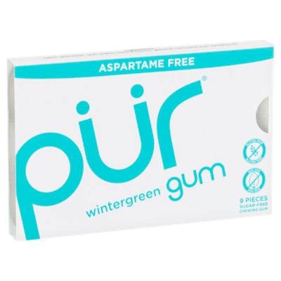 Pur Wintergreen SugarFree Chewing Gum, 9 count Gourmet