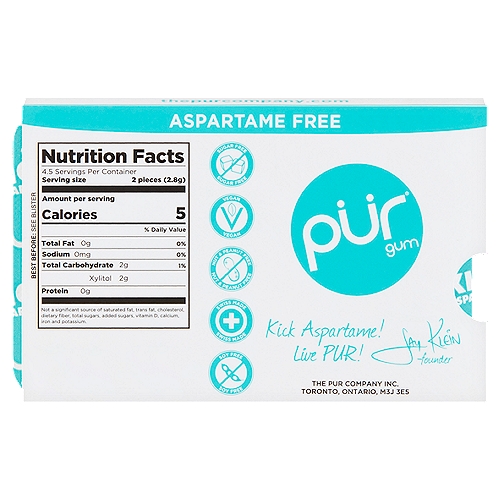 Pur Wintergreen Sugar-Free Chewing Gum, 9 count