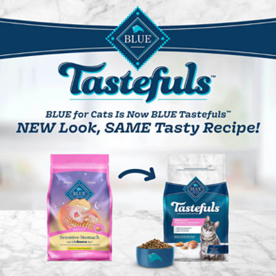 The blue buffalo cat food sales