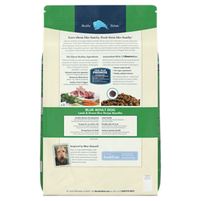 Blue buffalo lamb and rice store dog food