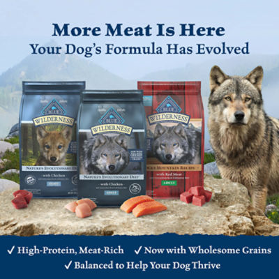 Blue Buffalo Wilderness High Protein Natural Small Breed Adult Dry