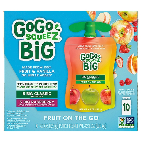 GoGo Big SqueeZ Fruit On the Go, 4.2 oz, 10 count
