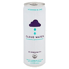 Cloud Water + Immunity Blackberry & Lemon & Rosemary Organic Sparkling Beverage, 12 fl oz