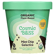 Cosmic Bliss Mint Chip Galactica Dairy-Free, Frozen Dessert, 14 Fluid ounce