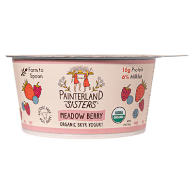 Painterland Sisters Meadow Berry Icelandic Style Organic Skyr Yogurt, 5.3 oz