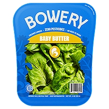 Bowery Zero Pesticides Baby Butter Lettuce, 4 oz