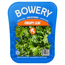 Bowery Crispy Leaf Lettuce, Pesticide-Free Lettuce, 4oz