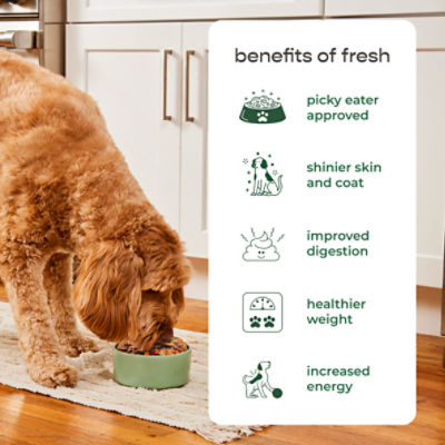 Freshpet Chunky Beef Recipe with Carrots, Peas & Brown Rice Dog Food, 1.5 lb