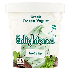 Enlightened Mint Chocolate Chip Low Fat Ice Cream, 16 Fluid ounce