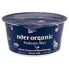 Norr Organic Black Currant & Blood Orange, Probiotic Skyr, 5.3 Ounce