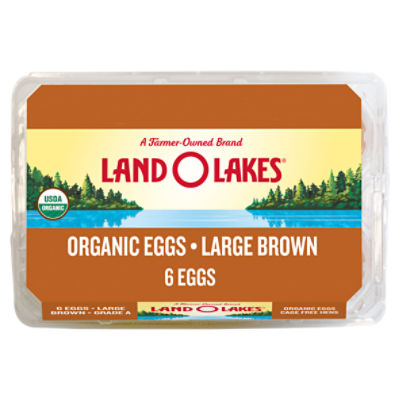 Land O Lakes Large Brown Organic Eggs, 6 count, 12 oz