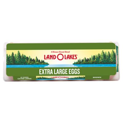 Land O Lakes Brown Eggs, Extra Large, 12 ct., 12 Each