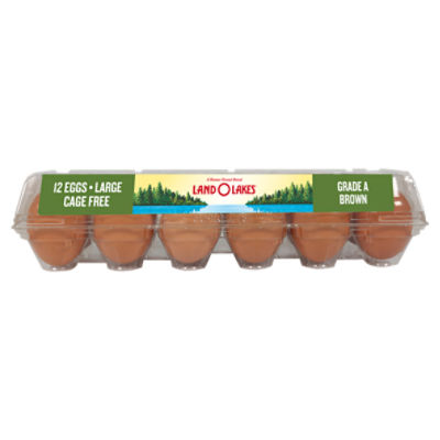 Land O Lakes Brown Eggs, Large, 12 count