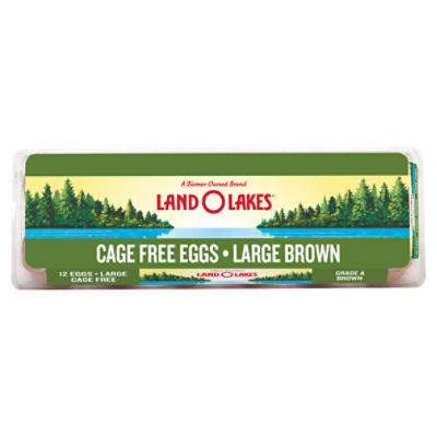 Land O Lakes Brown Eggs, Large, 12 count