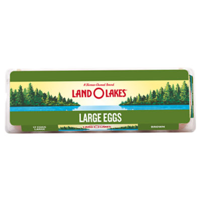 Land O Lakes 12ct Large Brown Eggs, 12 Each