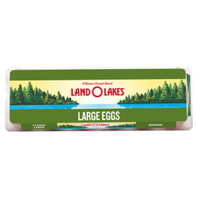 Land O Lakes 12ct Large Brown Eggs