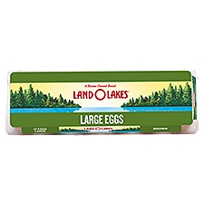 Land O Lakes 1 Dozen Large Brown Grade A Eggs, 12 Each