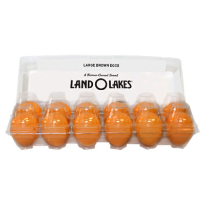 Large Brown Eggs