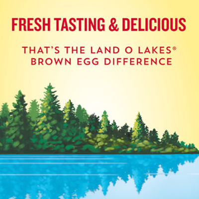 Land O Lakes Brown Eggs, Large, 12 count