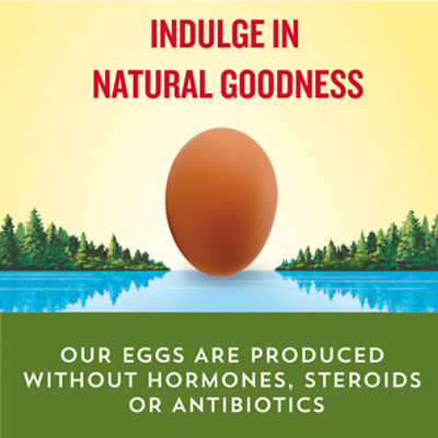 Land O Lakes Brown Eggs, Large, 12 count