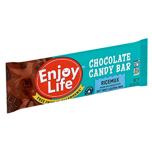 Enjoy Life Ricemilk Chocolate Candy Bar, 1.12 oz