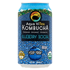 Aqua ViTea Blueberry Social Kombucha, 12 fl oz