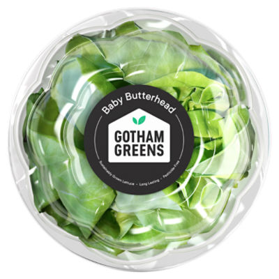 Gotham Greens Baby Butterhead, 4.5 Ounce