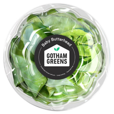 Gotham Greens Baby Butterhead, 4.5 oz