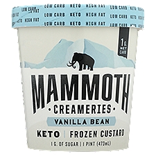Mammoth Keto Vanilla Bean Frozen Custard, 1 pint