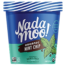 NadaMoo! Organic Mint Chip Dairy-Free Frozen Dessert, 1 pint