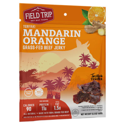 Field Trip Teriyaki Mandarin Orange All Natural Beef Jerky Teriyaki, 2.2 oz