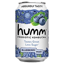 Humm Blueberry Mint Probiotic Kombucha, 12 fl oz
