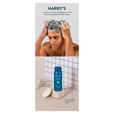 Harrys Mens 2-in-1 Shampoo and Conditioner - 14 fl oz