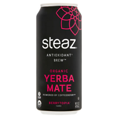 Steaz Antioxidant Brew Berrytopia Flavored Organic Yerba Mate Drink, 16