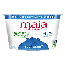 maia Blueberry Greek Yogurt, 5.3 oz